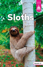 Sloths