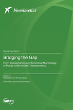Bridging the Gap