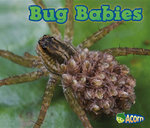 Animal Babies Bug Babies