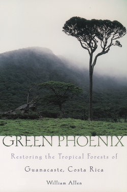 Green Phoenix