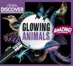 Glowing Animals