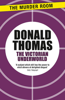 The Victorian Underworld