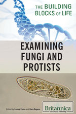 Examining Fungi and Protists