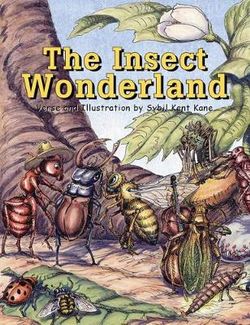 The Insect Wonderland