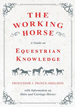 The Working Horse - A Guide on Equestrian Knowledge with Information on Shire and Carriage Horses