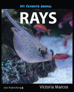 My Favorite Animal: Rays