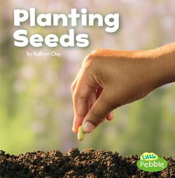 Planting Seeds
