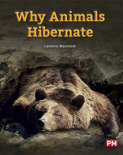 Why animals hibernate