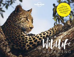 The A to Z of Wildlife Watching