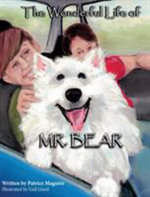 The Wonderful Life of Mr. Bear