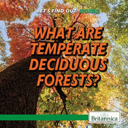 What Are Temperate Deciduous Forests? What Are Temperate Deciduous Forests?