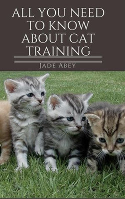 All You Need to Know About Cat Training