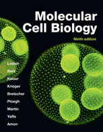 Molecular Cell Biology, 9e (IE)