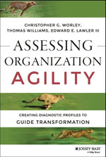 Assessing Organization Agility