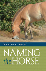 Naming the Horse