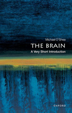 The Brain The Brain