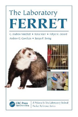 The Laboratory Ferret The Laboratory Ferret