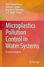 Microplastics Pollution Control in Water Systems