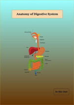 Anatomy of Digestive System