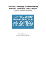 Assessing, Managing and Remediating Business' Impacts on Human Rights: A Guide for Sustainable Entrepreneurs