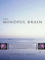 The Mindful Brain: Reflection and Attunement in the Cultivation of Well-Being (Norton Series on Interpersonal Neurobiology)