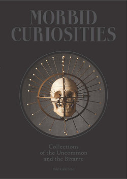 Morbid Curiosities Morbid Curiosities