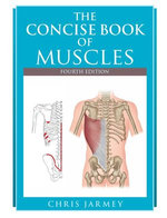 The Concise Book of Muscles