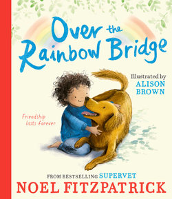 Over the Rainbow Bridge
