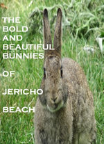 The Bold and Beautiful Bunnies of Jericho Beach