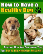 How To Have A Healthy Dog