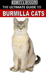 THE ULTIMATE GUIDE TO BURMILLA CATS