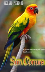 SUN CONURE