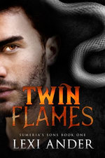 Twin Falmes