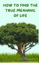 How to find the true meaning of life