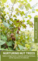 Nurturing Nut Trees
