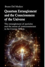 Quantum Entanglement and the Consciousness of the Universe