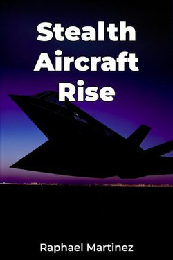 Stealth Aircraft Rise
