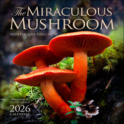The Miraculous Mushroom 2026 Wall Calendar The Miraculous Mushroom 2026 Wall Calendar