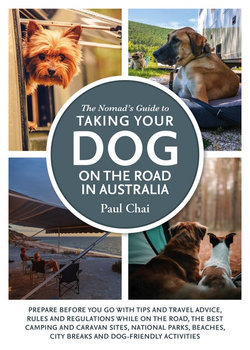 The Nomad's Guide to Taking Your Dog on the Road in Australia