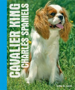 Your Cavalier King Charles Spaniel Your Cavalier King Charles Spaniel