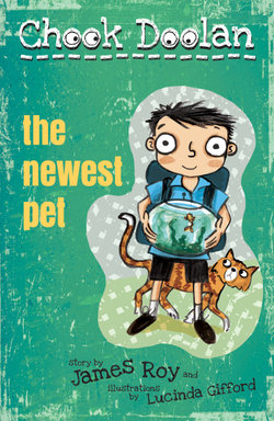 Chook Doolan: The Newest Pet