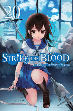 Strike the Blood, Vol. 20 (light Novel)