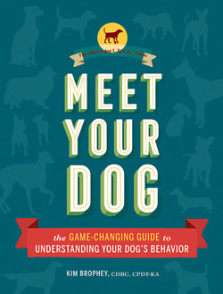 Meet Your Dog