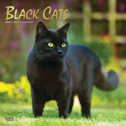 Black Cats 2026 12 X 24 Inch (Hanging) Monthly Square Wall Calendar Foil Stamped Cover Plastic-Free Black Cats 2026 12 X 24 Inch (Hanging) Monthly Square Wall Calendar Foil Stamped Cover Plastic-Free