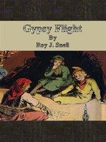 Gypsy Flight