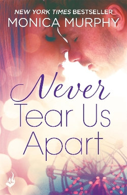 Never Tear Us Apart: Never Series 1