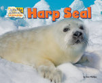 Harp Seal Harp Seal
