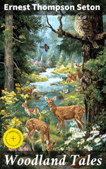 Woodland Tales