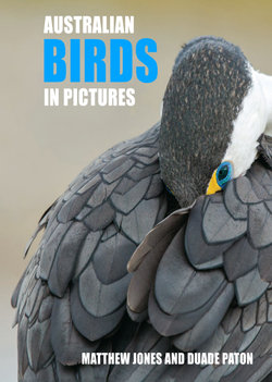 Australian Birds in Pictures