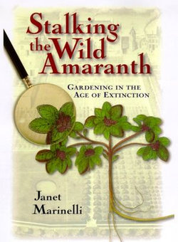 Stalking the Wild Amaranth